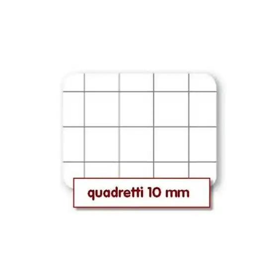 Confezione 12 quaderni A4 Wild- Quadretti 5 millimetri