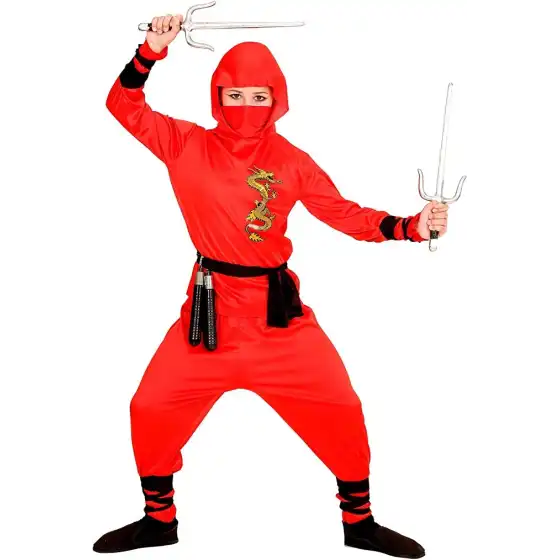 Costume Dragon Ninja 2-3 Anni Widmann - 1